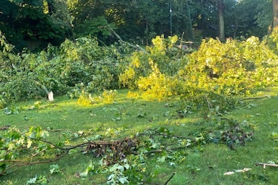 Burgemeesterspark in Lommel tijdelijk afgesloten na stormschade: takken afgebroken of losgekomen