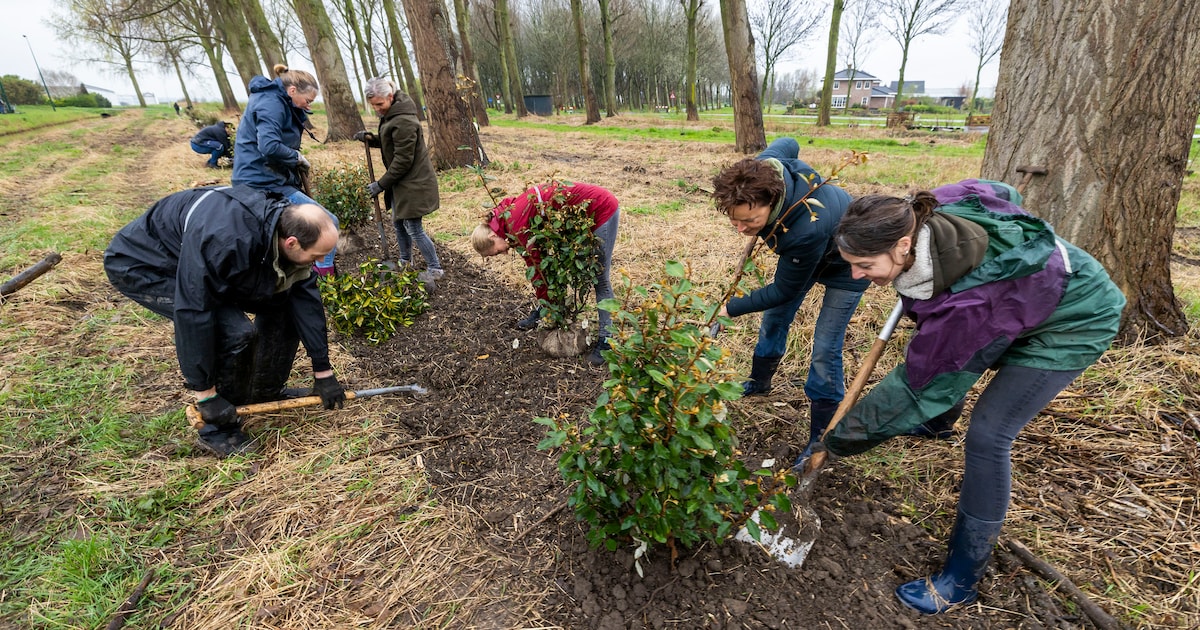 Speciale plantdag in voedselbos De VliereLier: iedereen mag meedoen ...