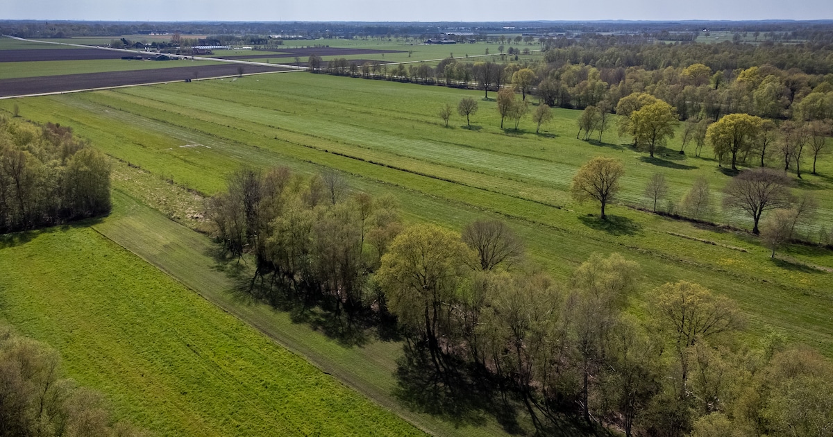 Nieuwe naam voor KNNV Vriezenveen