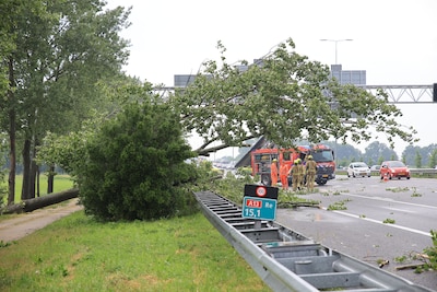 Bestuurders kunnen boom op A13 maar net ontwijken: 45 minuten extra reistijd tussen Delft en Rotterd