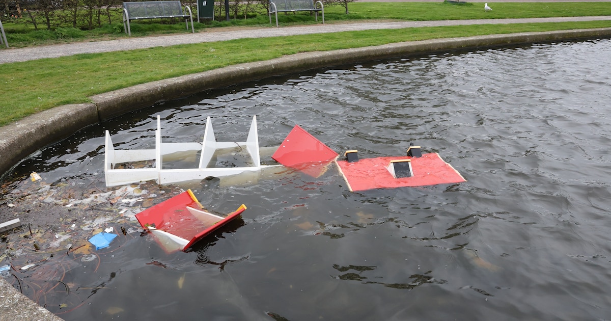 Eendenhokje in vijver waait weg door harde wind, meerkoet moet onbeschut verder broeden