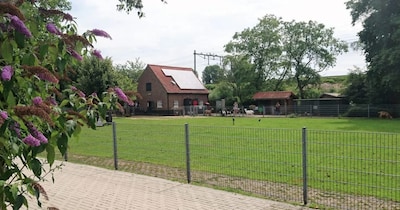 Terrein van boerderij en milieucentrum in Mariahoeve vervuild met lood: ‘Geen direct risico’