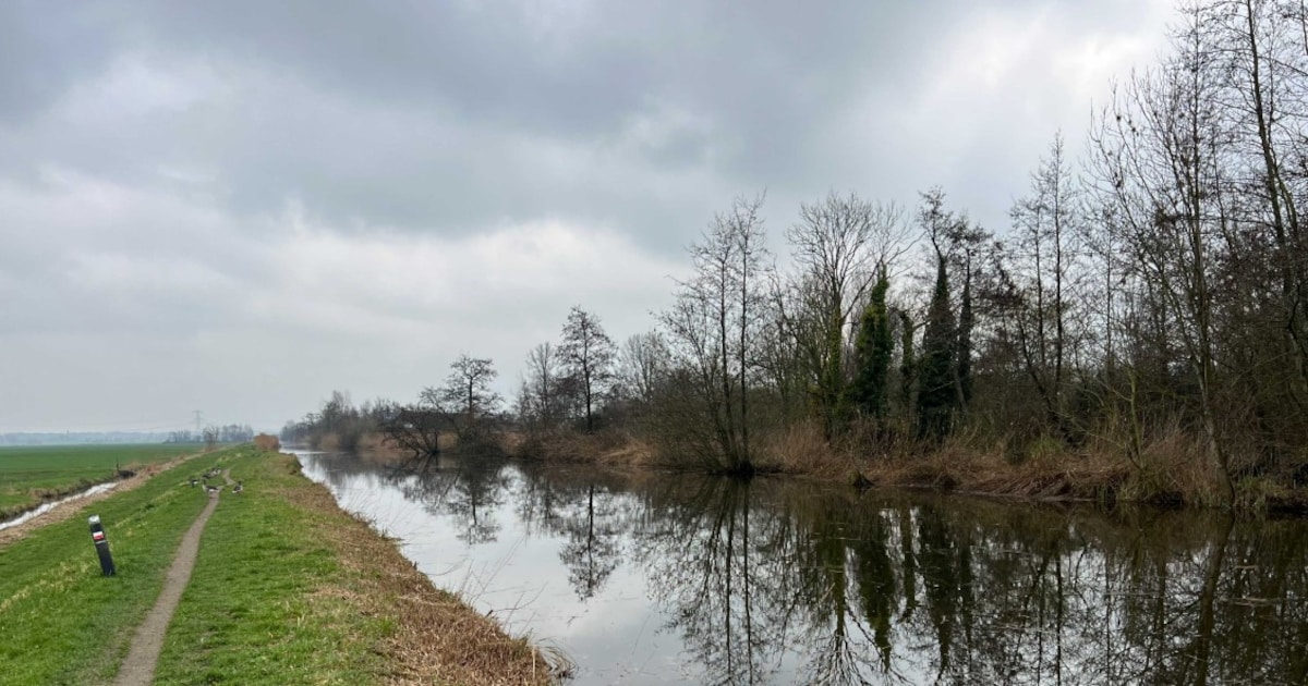 Lentewandeling IVN in Kockengen: beperkt aantal plekken beschikbaar