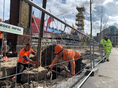 Extra groen: langs de Hofvijver staan ineens nieuwe bomen