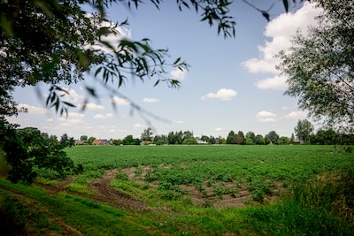 Image related to the article