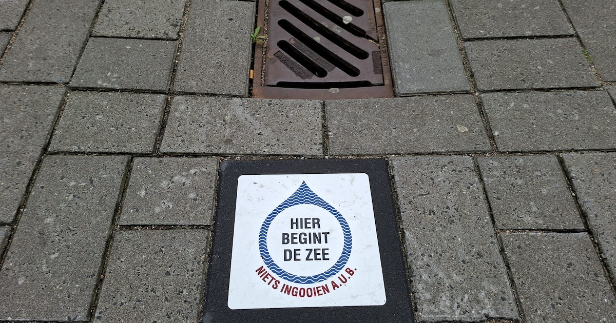 Mysterie opgelost: daarom ligt er bij het Huis van de Stad een tegel met ‘Hier begint de zee’