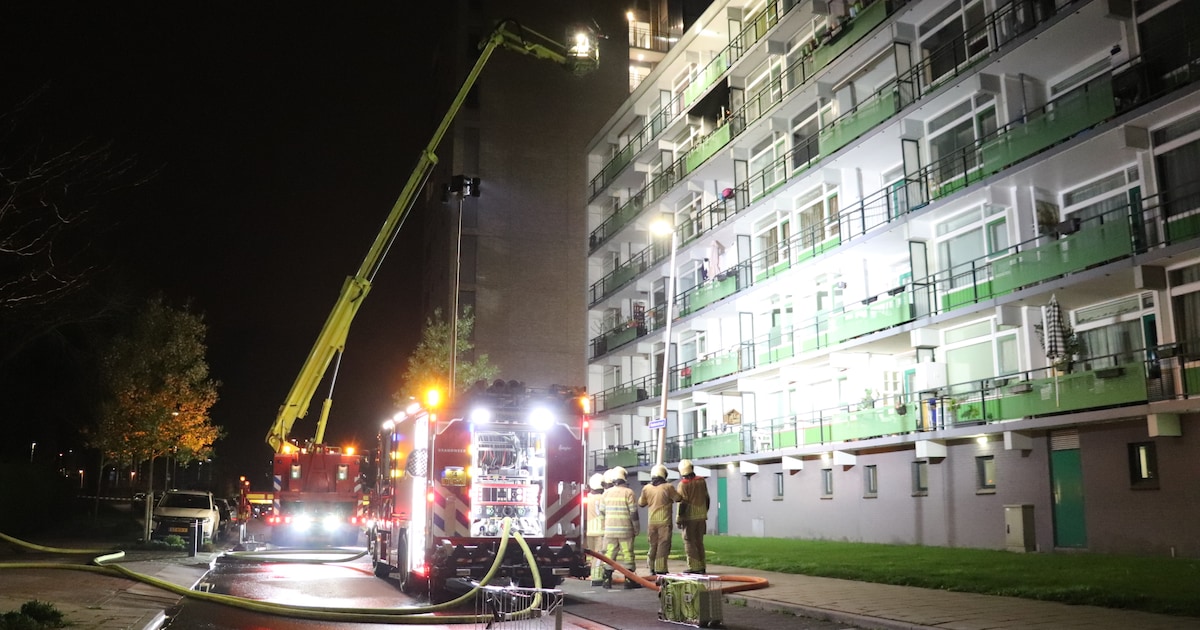 Brandweer rukt vaker uit in Vijfheerenlanden