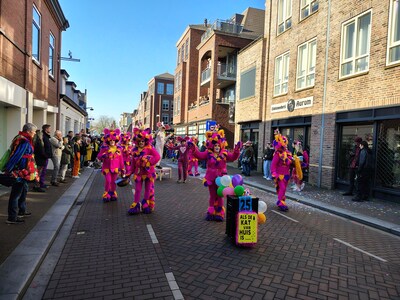 Creativiteit siert de optocht in Asten