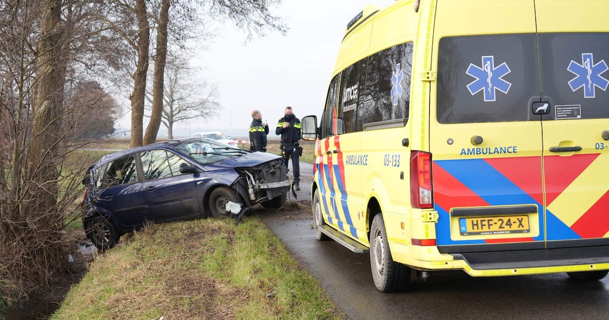 Auto botst frontaal tegen boom op Oude Wilhelmsweg in Emmen | 112 nieuws Emmen