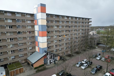 Image related to the article