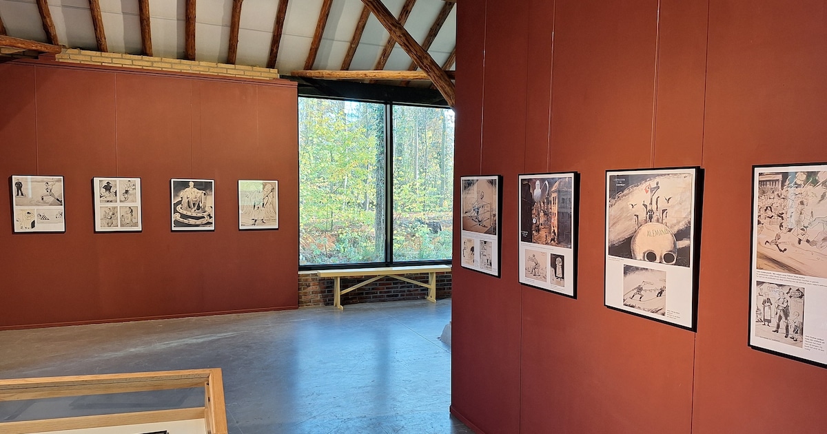 Politieke spotprenten van cartoonist Robert Hans Olschwanger tijdelijk tentoongesteld in Leek
