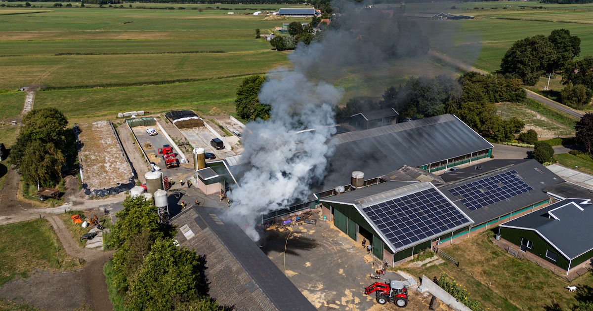 Veevoermengwagen vliegt in brand bij boerderij in Nijeholtwolde