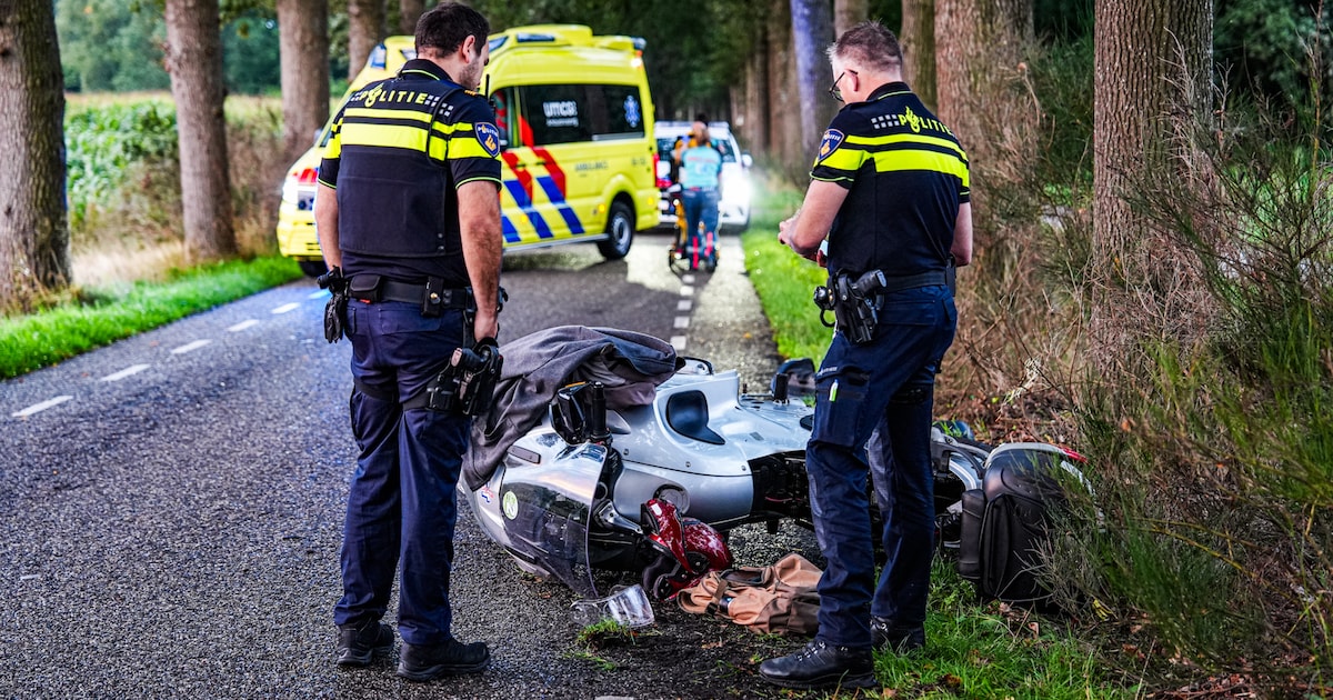 Ree overleeft aanrijding met motor niet in 't Haantje