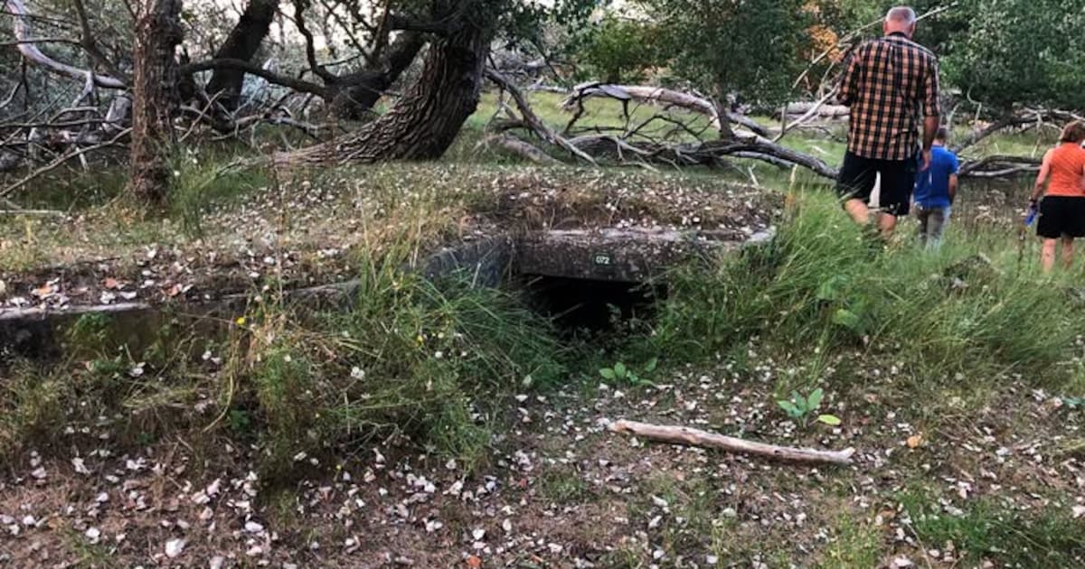 Zandvoorts Museum houdt bunkerwandeling door Amsterdamse Waterleidingduinen