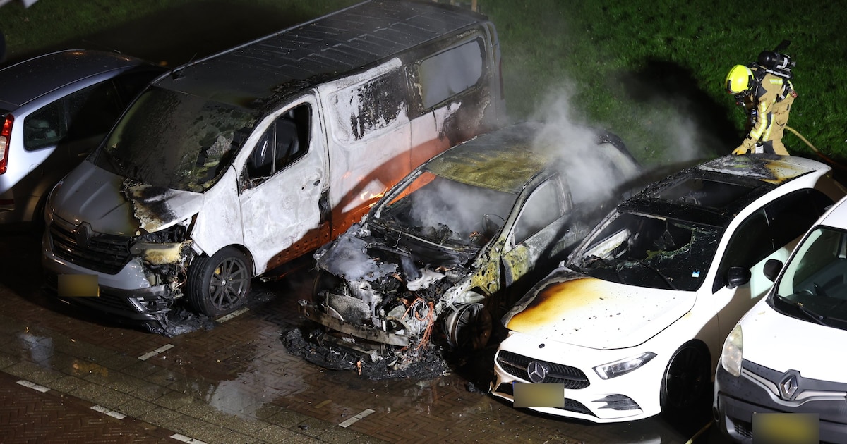 Nachtelijke autobranden in Delft: zes auto's en een bestelbus gaan in vlammen op