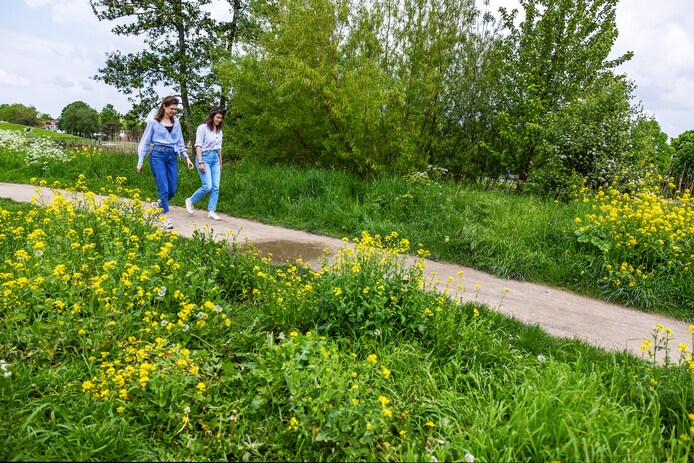Bijna natste voorjaar ooit: zijn de grasvelden in Utrechtse parken ...