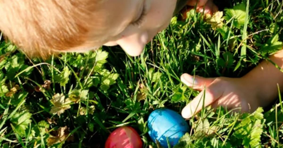 Vaartocht naar 'Paaseiland' in Nieuwkoop met Natuurmonumenten