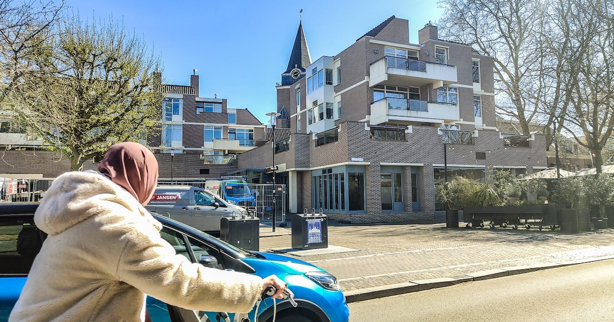 Gratis plantjes, de bieb gaat weer open en meer nieuwtjes uit Woerden