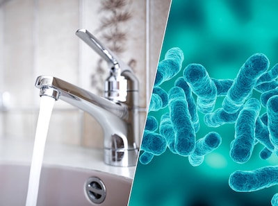 Legionella is dangerous for the elderly, smokers, and those with weakened immune systems: how the bacteria spreads