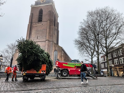 De kerstboom komt weer op het Kerkplein, maar uit welke tuin?