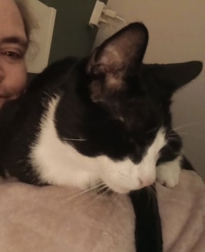 Heb jij Simba of Goofy gezien? Deze twee huisdieren worden in Tiel vermist