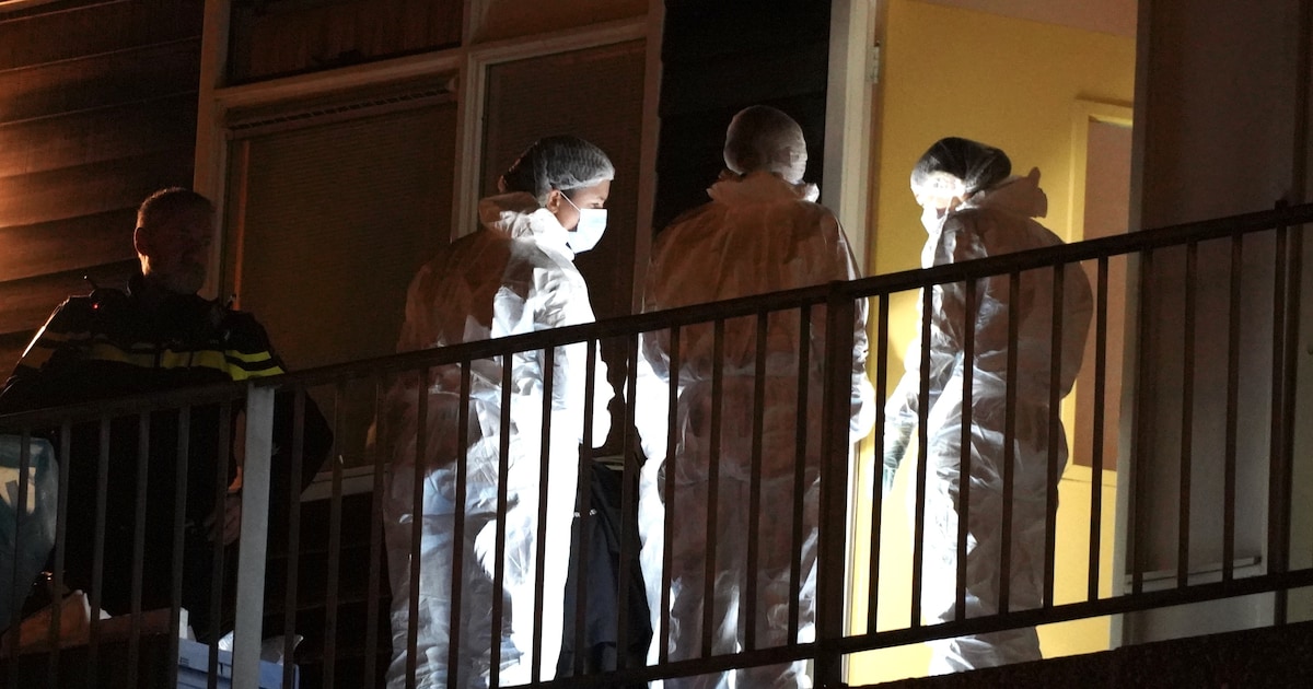 Vrouw overleden na geweldsincident in Leiderdorp, man aangehouden