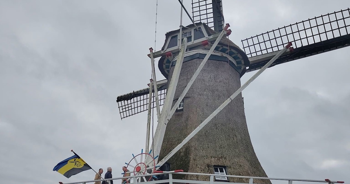Molenaar van Daams’ Molen in Vaassen slaagt voor regionaal examen
