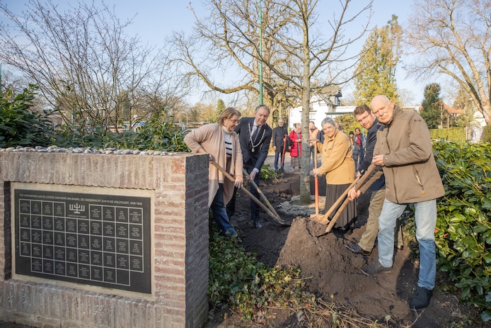 Beeld bij artikel: Nazaat van Anne Franks kastanjeboom geplant bij Joods monument in Baarn
