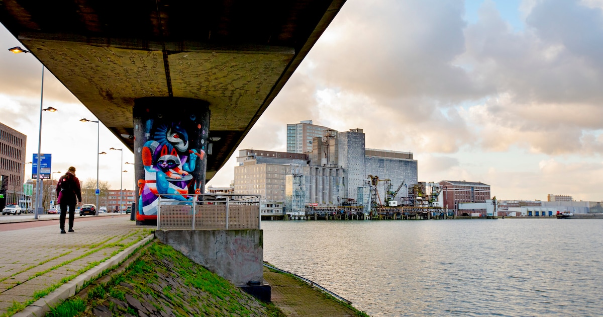 Weekendtips: deze dingen doe je in Rotterdam (3–5 april) | Regio | AD.nl