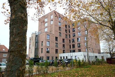 Image related to the article