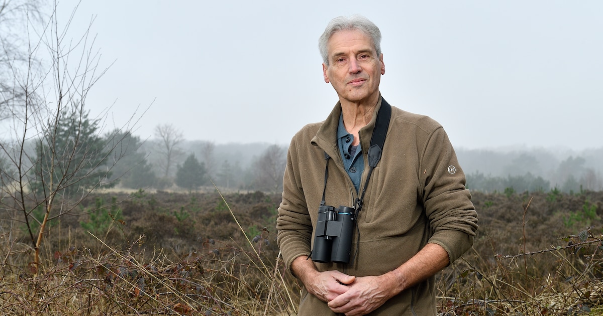 We móéten leren samenleven met de wolf, vindt Johan: ‘Hij is hier en vindt het goed toeven, dat is d