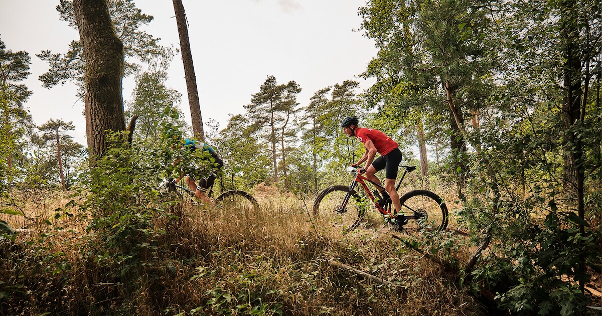Mountainbikeroute Sallandse Heuvelrug sluit opnieuw | Regio | AD.nl
