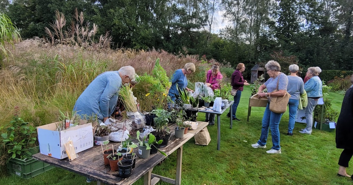 Tuinliefhebbers in Heerde en Epe welkom bij voorjaarsactiviteiten van Groei en Bloei