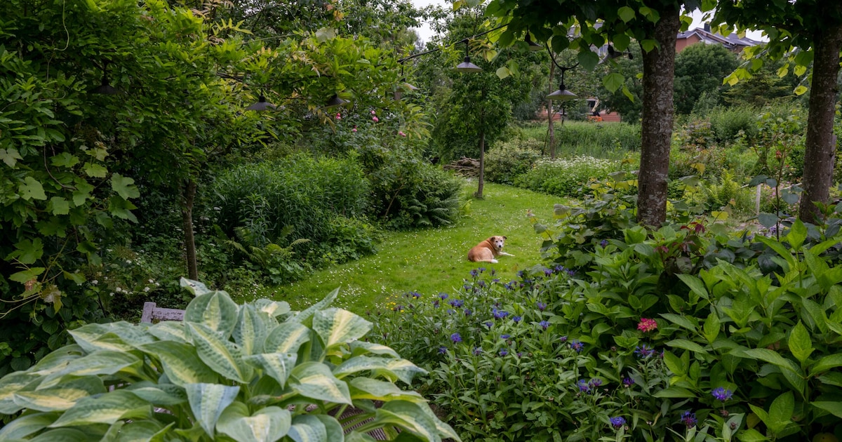 Gratis tuincursus bij Weizigt in Dordrecht