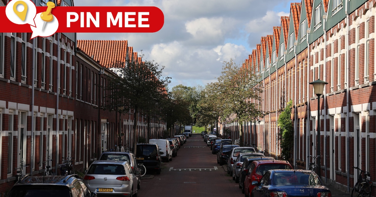 Zijn er behalve in de PKD nog meer huurhuizen in Vlaardingen die niet deugen?