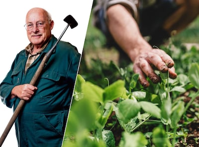 Planten en groenten door elkaar? Het is misschien wel de beste manier om van je tuin te genieten