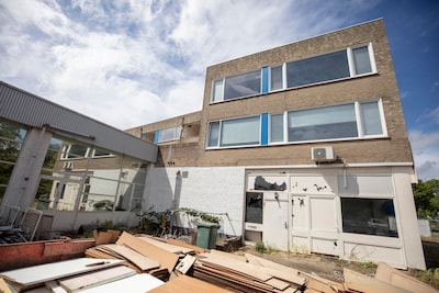Image related to the article