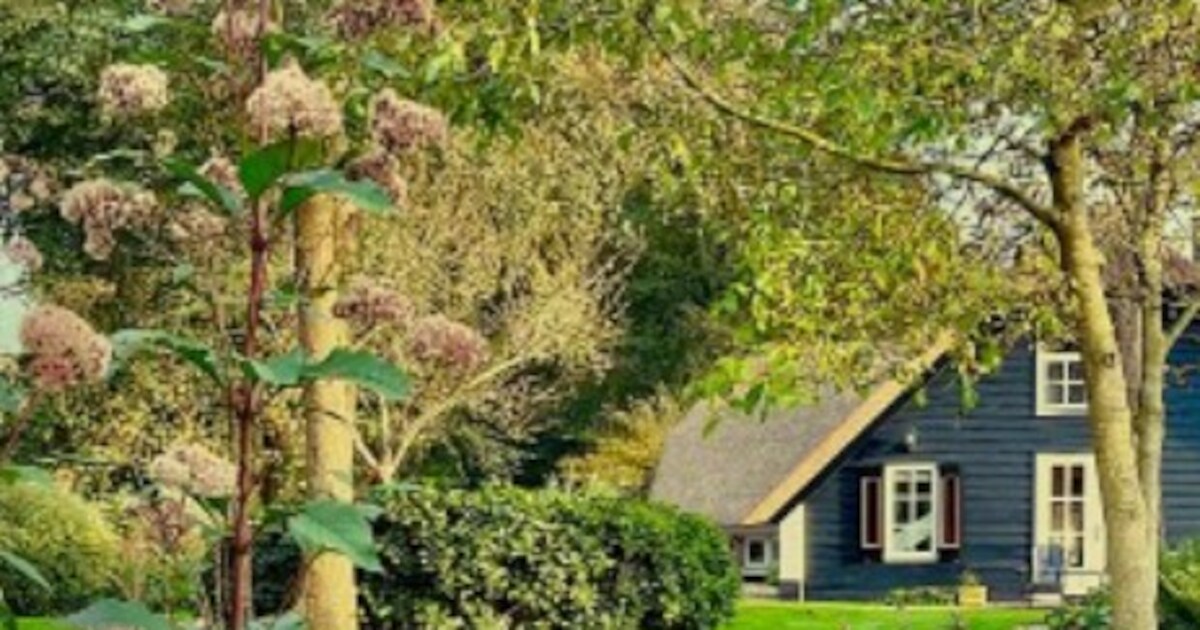 Open Tuinendag in Oldebroek