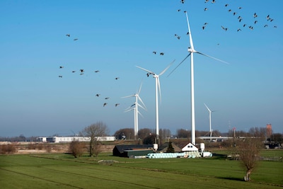 Dit najaar vallen de besluiten over windmolens: wat betekent dat voor Leusden?