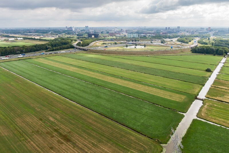 De Rijnenburg polder bij De Meern bestaat nu nog voornamelijk uit weiland. De ambitite van de Utrechtse gemeenteraad is er meerdere windmolens te plaatsen. De polder is het gebied tussen knooppunt Ouderijn, de A12 en de A2 en wordt omringd door de Heijcopperkade en de Ringkade.