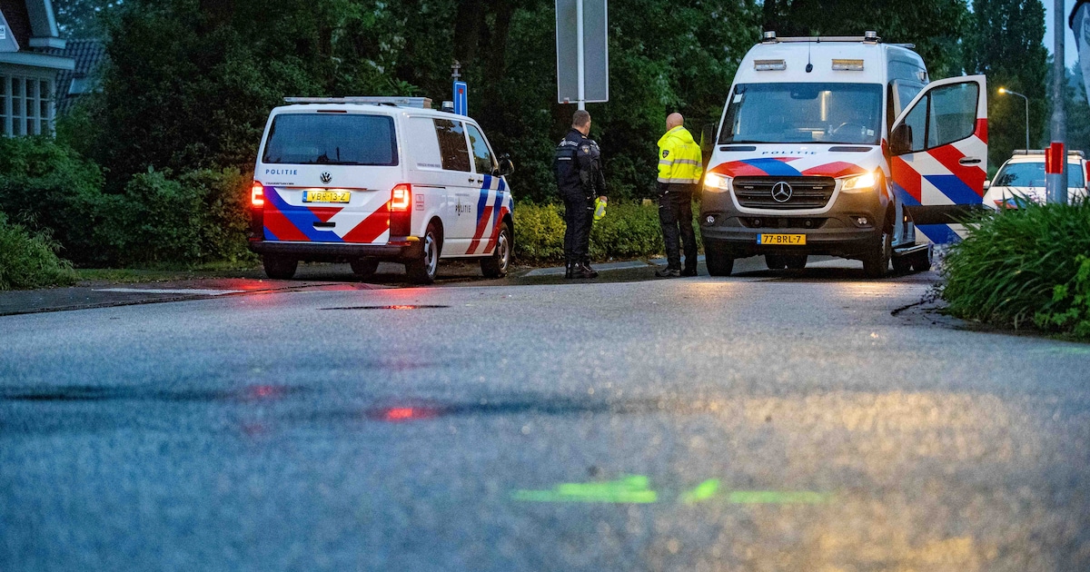 Drie mannen vervolgd voor fatale aanrijding van Robin (33) na mishandeling in Hattem