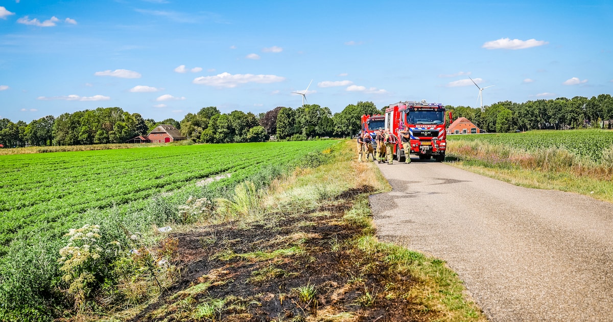 Bermbrand aan de 49e Laan in Valthermond