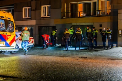 Image related to the article