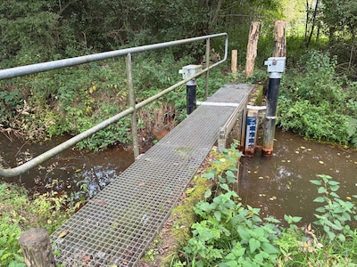 Recente regendagen zijn voor de natuur net iets meer dan druppels op een gloeiende plaat