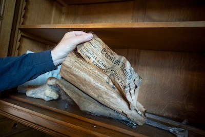 Image related to the article