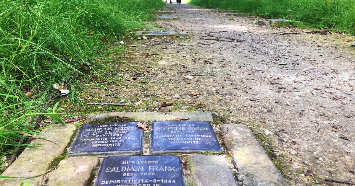 Struikelstenen onthuld in Zeist