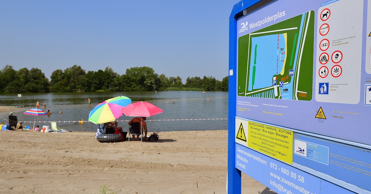Waterkwaliteit Westpolderplas problematisch, gemeente Etten-Leur in overleg met Waterschap Brabantse