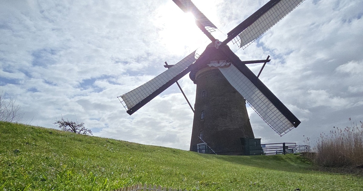 Een tegel eruit, een stukje werelderfgoedgras van Kinderdijk erin