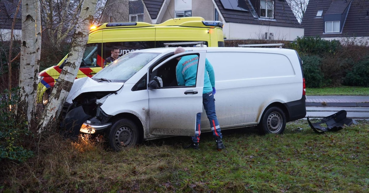 Bestelbus botst frontaal tegen boom in Assen
