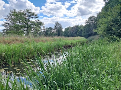 Educatieve wandeling langs beekdal De Beerze in Oirschot